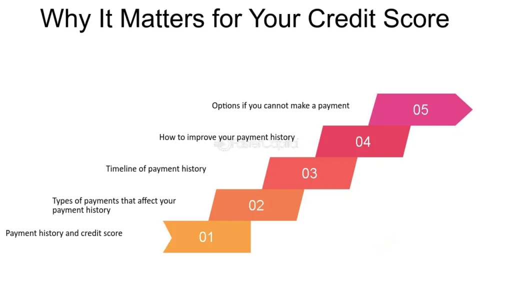 Why Credit Scores Are Important in the USA