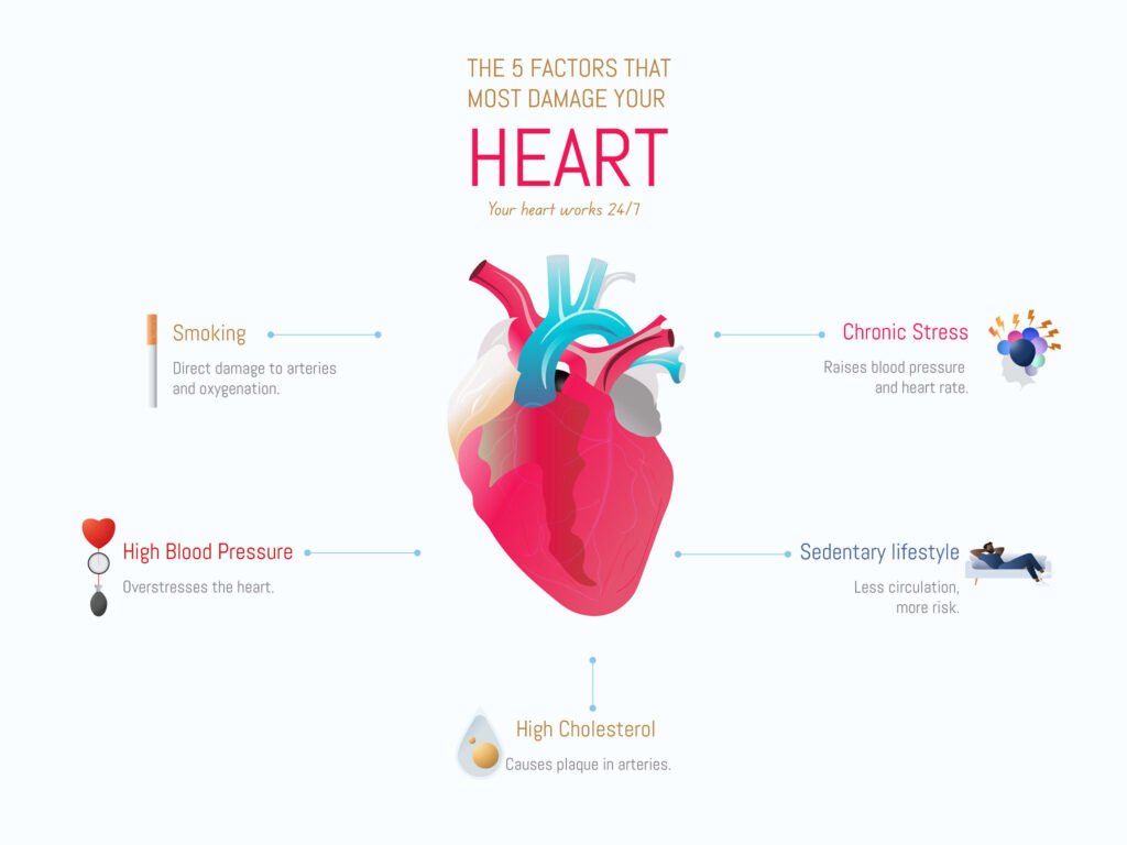 How Stress Impacts Physical Health in the USA (Body-Wide Effects)